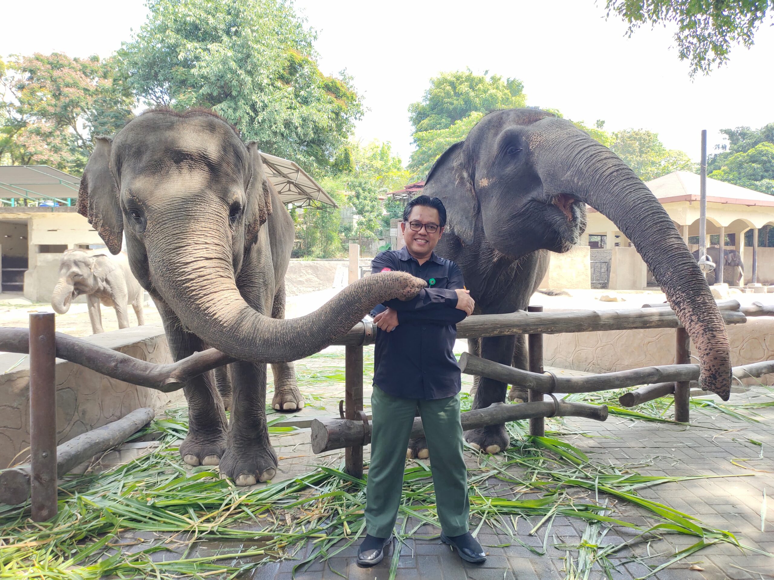 Pengelolaan Limbah Gajah Kebun Binatang Gembira Loka – Video